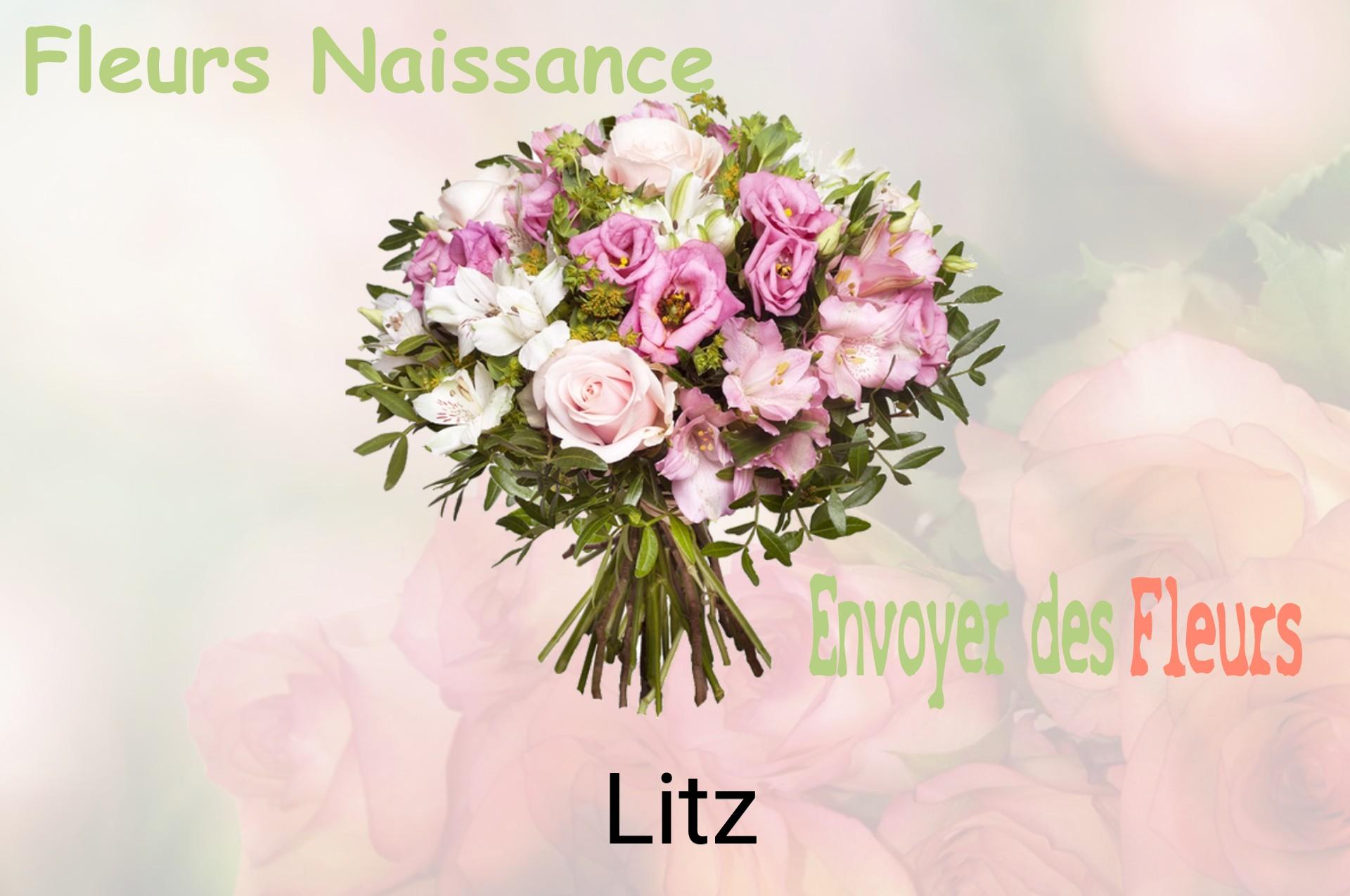 Bouquet de fleurs de naissance livré à Litz